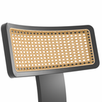 Ensemble de 2 chaises de salle à manger modernes du milieu du siècle en bois et rotin 