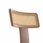 Ensemble de 2 chaises de salle à manger modernes du milieu du siècle en bois et rotin 