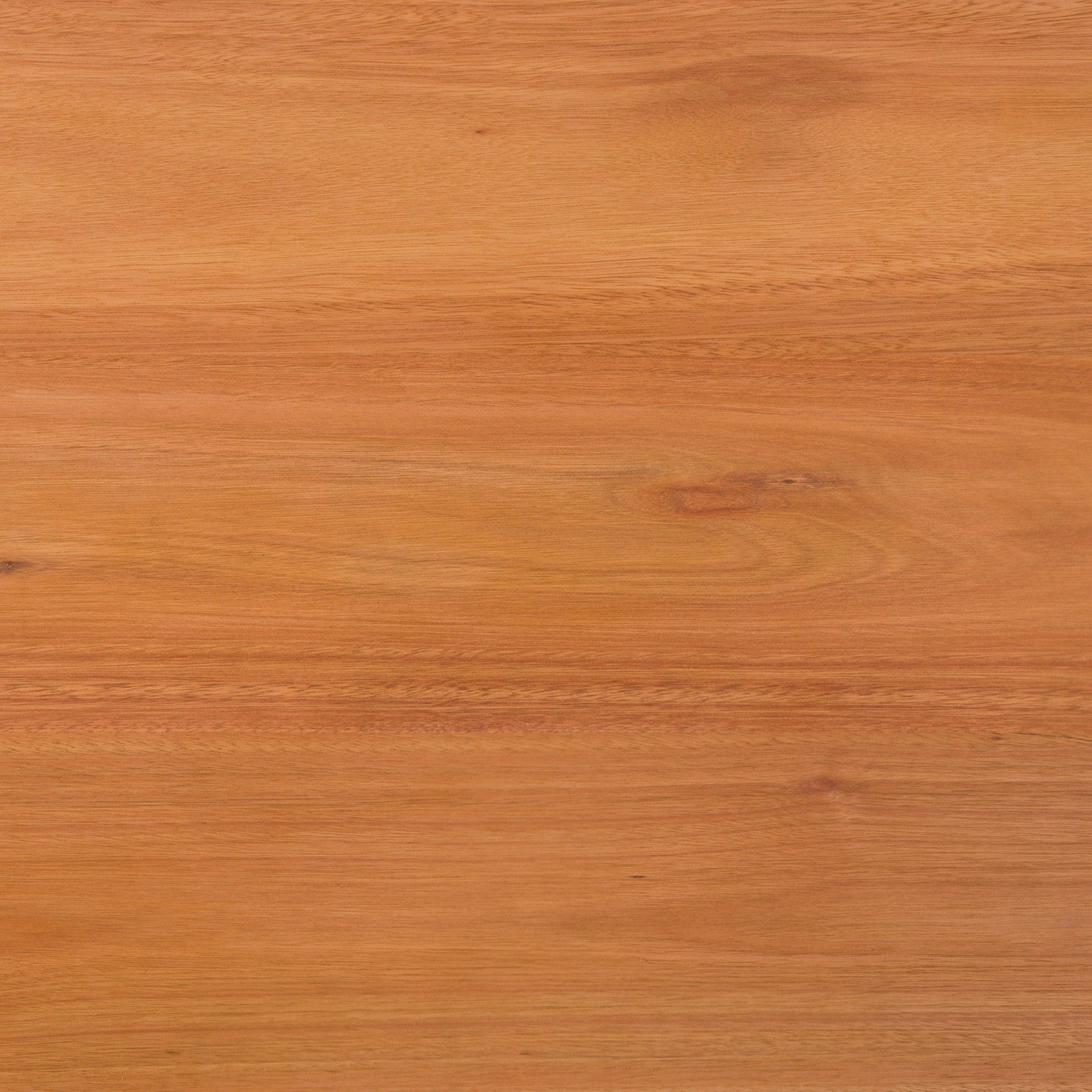 Fauteuil club d'extérieur moderne Prenton en bois massif