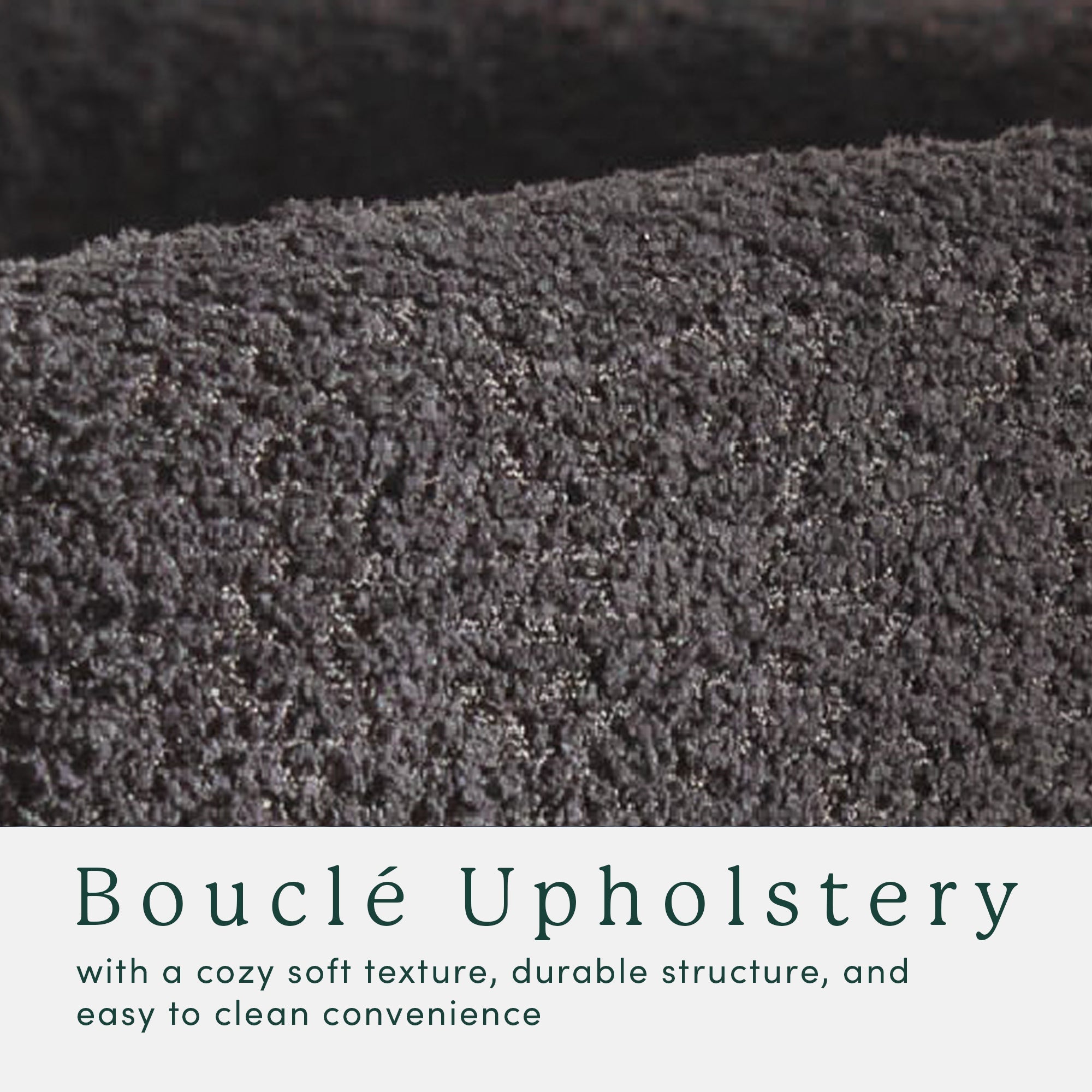 Chaise de salle à manger Ezra moderne en bois massif bouclé avec dossier arrondi (lot de 2)